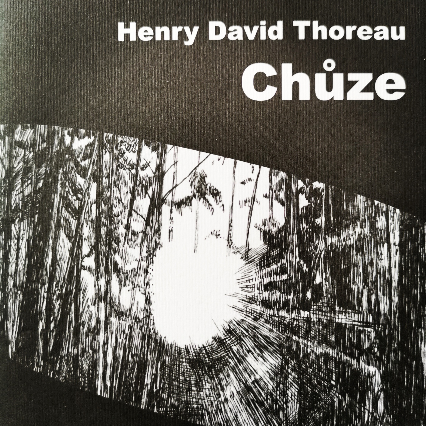 Thoreau - Chôdza - obálka knihy